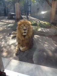 조금 알았다🤣