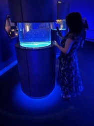 사랑하는 〇〇♡♡♡