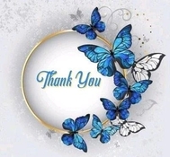 감사합니다☺︎클리오코트님🧚🏻