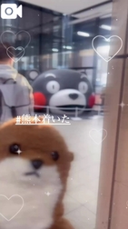 구마모토 도착 🚗³₃