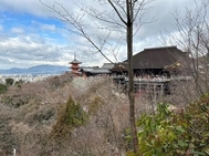 아이스의 취미🫶🫶