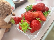 딸기공주🍓✨