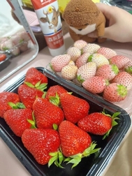 더 이상 없어...?( '-' )