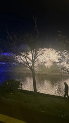 최근 빠져있는 일