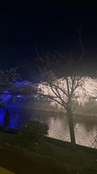 딸기 사냥에 갔다.